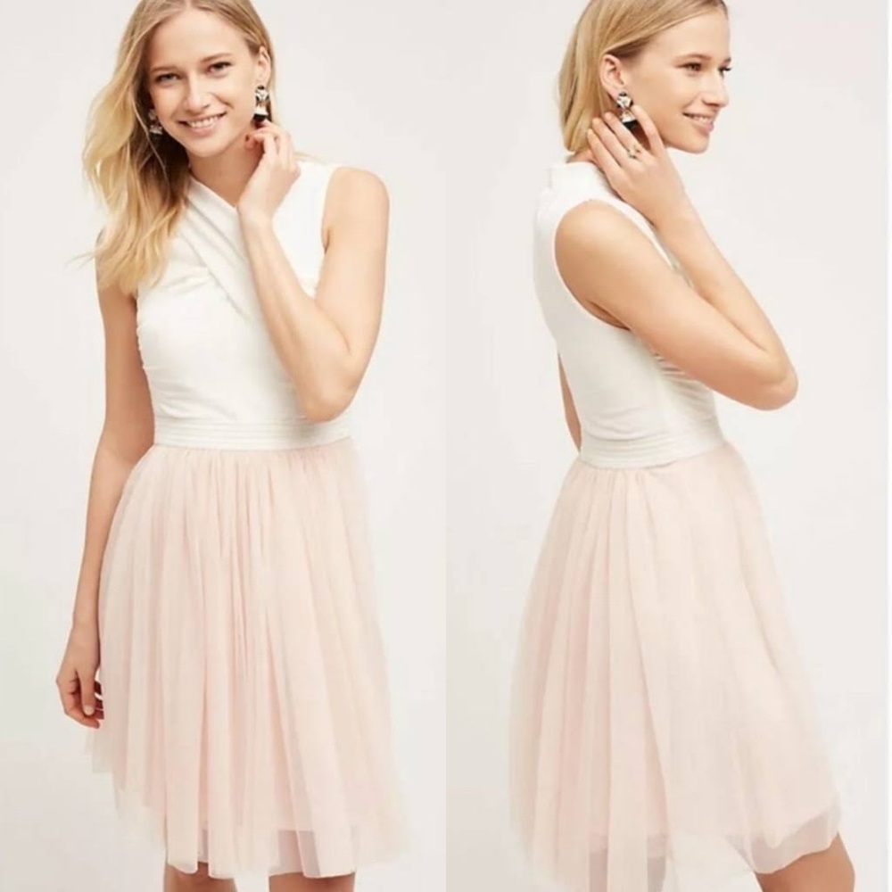NWOT Tulle dress